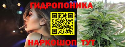 не бодяженный Камышлов